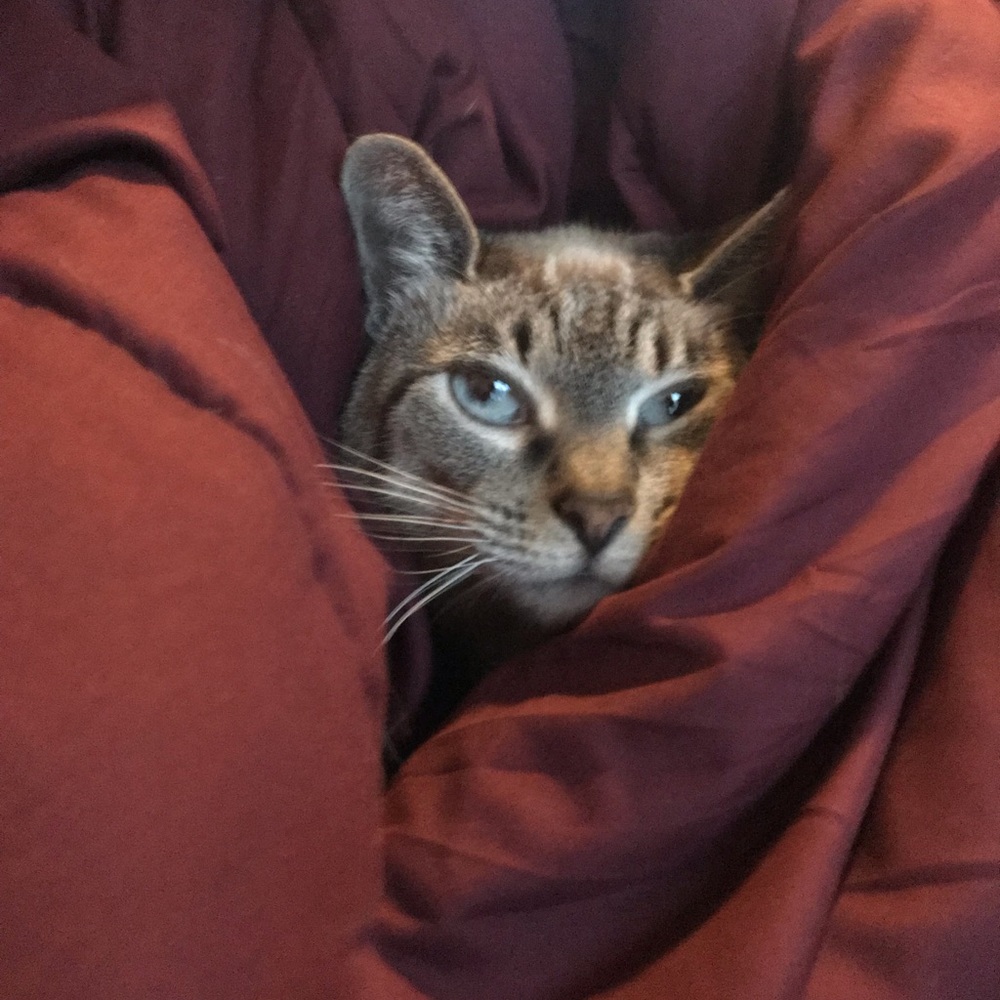 Meet your Posher, Evan